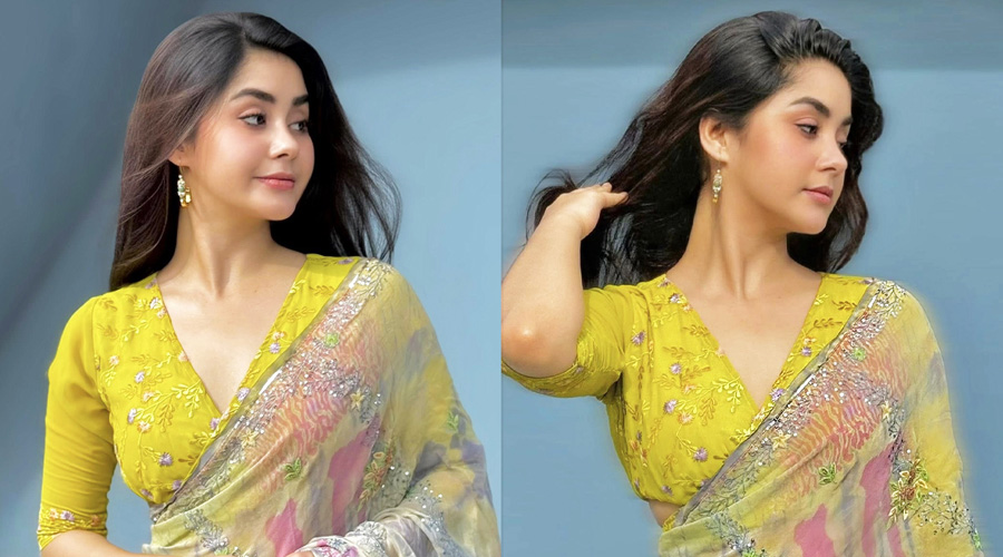 শাড়িতে মুগ্ধতা ছড়ালেন রোজা